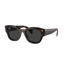 Ray-Ban RB7681S 902/48