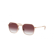 Ray-Ban RJ9594S 291/8H