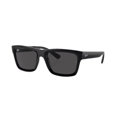 Ray-Ban Warren RB4396 667787