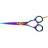 RBB Italia RBB Titanium Hairdressing Scissors - TIT19 (6.0