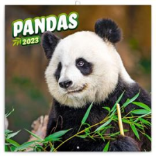 REALSYSTEM 2023-as Pandas 6097-PS lemeznaptár (6097-PS) naptár, kalendárium