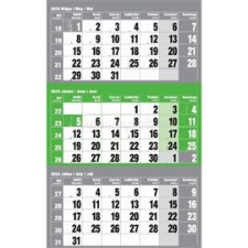 REALSYSTEM 2024-es 6061 12lapos zöld speditőr naptár (6061-80) naptár, kalendárium