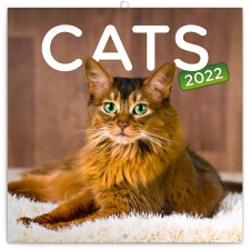 REALSYSTEM Cats, képes lemeznaptár 2022 naptár, kalendárium