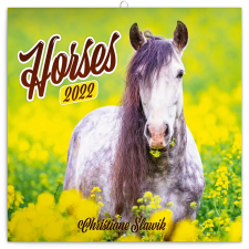 REALSYSTEM Horses, képes lemeznaptár 2022 naptár, kalendárium