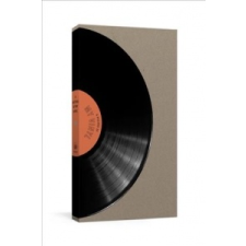 Record Of My Vinyl – Clarkson Potter naptár, kalendárium