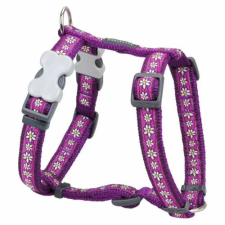 Red Dingo Daisy Chain Purple Small Dog hám nyakörv, póráz, hám kutyáknak