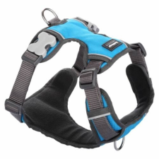 Red Dingo Padded dog hám XS Turquoise nyakörv, póráz, hám kutyáknak