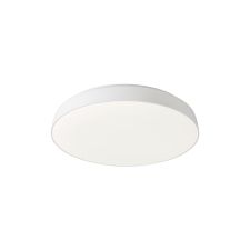 REDO Erie fehér LED mennyezeti lámpa (RED-01-1679) LED 1 izzós IP20 világítás