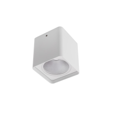 REDO Xia fehér LED kültéri mennyezeti lámpa (RED-90031) LED 1 izzós IP54 kültéri világítás