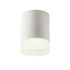 REDO Xilo fehér LED kültéri mennyezeti lámpa (RED-90356) LED 1 izzós IP54 kültéri világítás