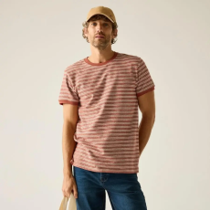 Regatta Benlin Férfi póló színes