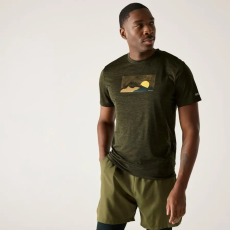 Regatta Fingal Férfi póló színes