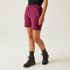 Regatta Mountain ShortsII női technikai short piros