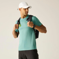 Regatta Virda Férfi póló színes