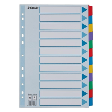 Regiszter ESSELTE Mylar A/4 laminált karton 12 részes regiszter és tartozékai