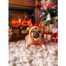  Rénszarvasos karácsonyi pulcsi kisállatoknak, S-es kutyaruha