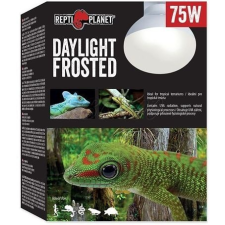 Repti Planet Frosted Daylight - Trópusi nappali hideg fényt sugárzó izzó (75 W) hüllőfelszerelés
