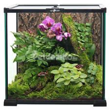 Repti Planet - Mini Üvegtartály - Terrárium - 20x20x20cm terrárium, vivárium
