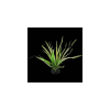  Repti Planet Plant Spartina - Terráriumi műnövény dekoráció (Spartina) 30cm