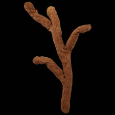 ReptiPlanet Repti Planet Coco troncho - dekoráció (kókuszrost ág) terráriumokba (80cm) hüllőfelszerelés