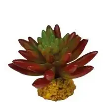 Repto | PLANT SUCCULENT RED | Műnövény dekoráció, piros színű - 10x10x8 cm kisállatfelszerelés