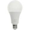 RETLUX RLL 662 A80 E27 bulb 20W WW D