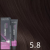 Revlon Color Excel Gloss hajszínező 5.8