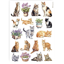  Rizspapír - cicák dekorációs kellék