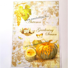  Rizspapír, tök és szőlő dekorációs kellék