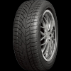 RoadX RX Frost WU01 225/55 R17 101V XL FR