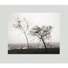 Robert Adams: Los Angeles Spring idegen nyelvű könyv