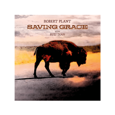  Robert Plant - Saving Grace (Vinyl LP (nagylemez)) rock / pop