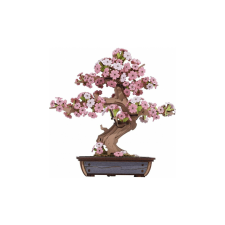 Rolife 3D Puzzle, Bonsai Sakura, RolLife, 263 db puzzle, kirakós