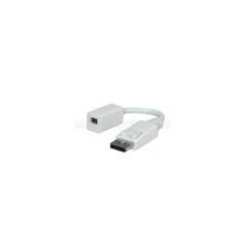 ROLINE Adapter DisplayPort - mini DisplayPort M/F (12.03.3132) kábel és adapter