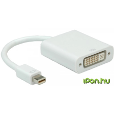 ROLINE mini DisplayPort --> DVI-D M/F adapter /12.03.3128-10/ kábel és adapter