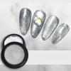 Roniki Silver cat eye pigment