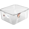  Rotho Lona műanyag tároló doboz,, 19 L - átlátszó