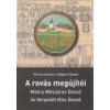 Rovás Info A rovás megújítói - Pirint Andrea - Sólyom Ferenc