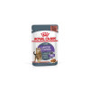 Royal Canin Appetite Control Care Jelly (12*85G) macskatáp