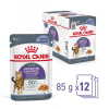 Royal Canin Appetite Control Care - Zselés nedves táp felnőtt macskák részére az étvágy szabályozásának segítésére (48 x 85 g) 4.08kg