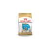 Royal Canin Chihuahua Puppy fajtatáp 500g
