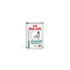 Royal Canin Diabetic Special Low CH 410g