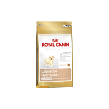 Royal Canin Labrador Junior 3kg kutyaeledel