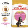 Royal Canin Maine Coon Kitten - Maine Coon kölyök macska száraz táp 400g