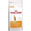 Royal Canin Protein Exigent - válogatós felnőtt macska száraz táp 2 kg