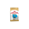 Royal Canin Pug Puppy 500g - kutya száraztáp