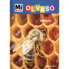 Rozgonyi Sarolta - Olvasó Méhek egyéb könyv