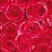  Rózsák öntapadós tapéta 45cmx15m tapéta, díszléc és más dekoráció