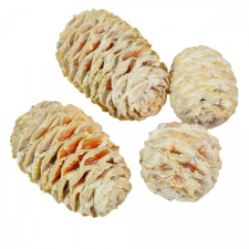  Sabulosum falfestékes fehér 13dkg/csom dekorációs kellék