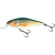 Salmo Executor 7cm wobbler - RR